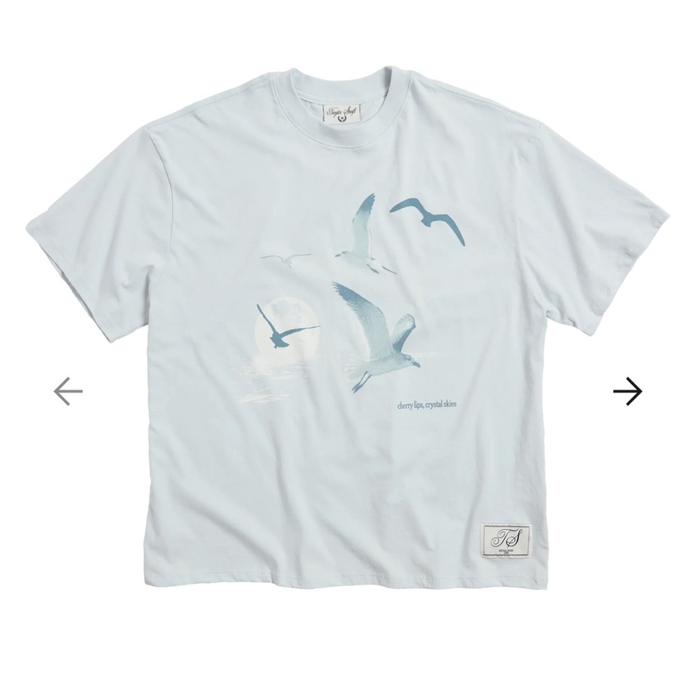 NWOT 1989 (Taylor’s Version) Seagull Boxy T-Shirt (Size Small)